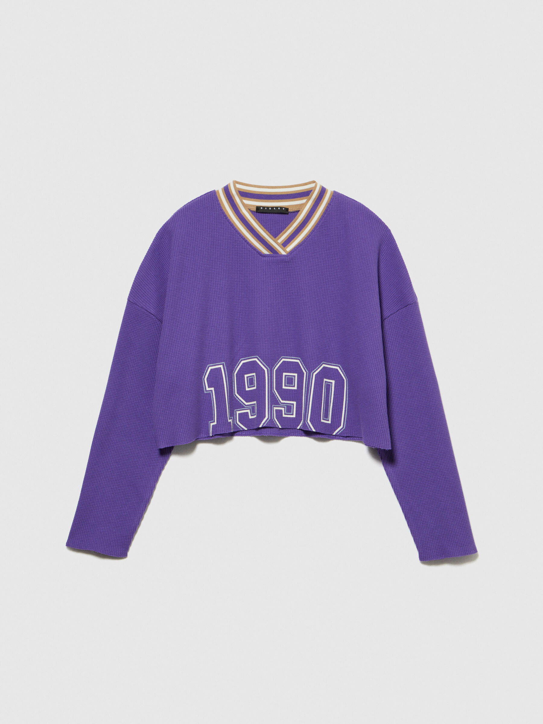 Champion uo exclusive sales oversized v-neck cropped sweatshirt